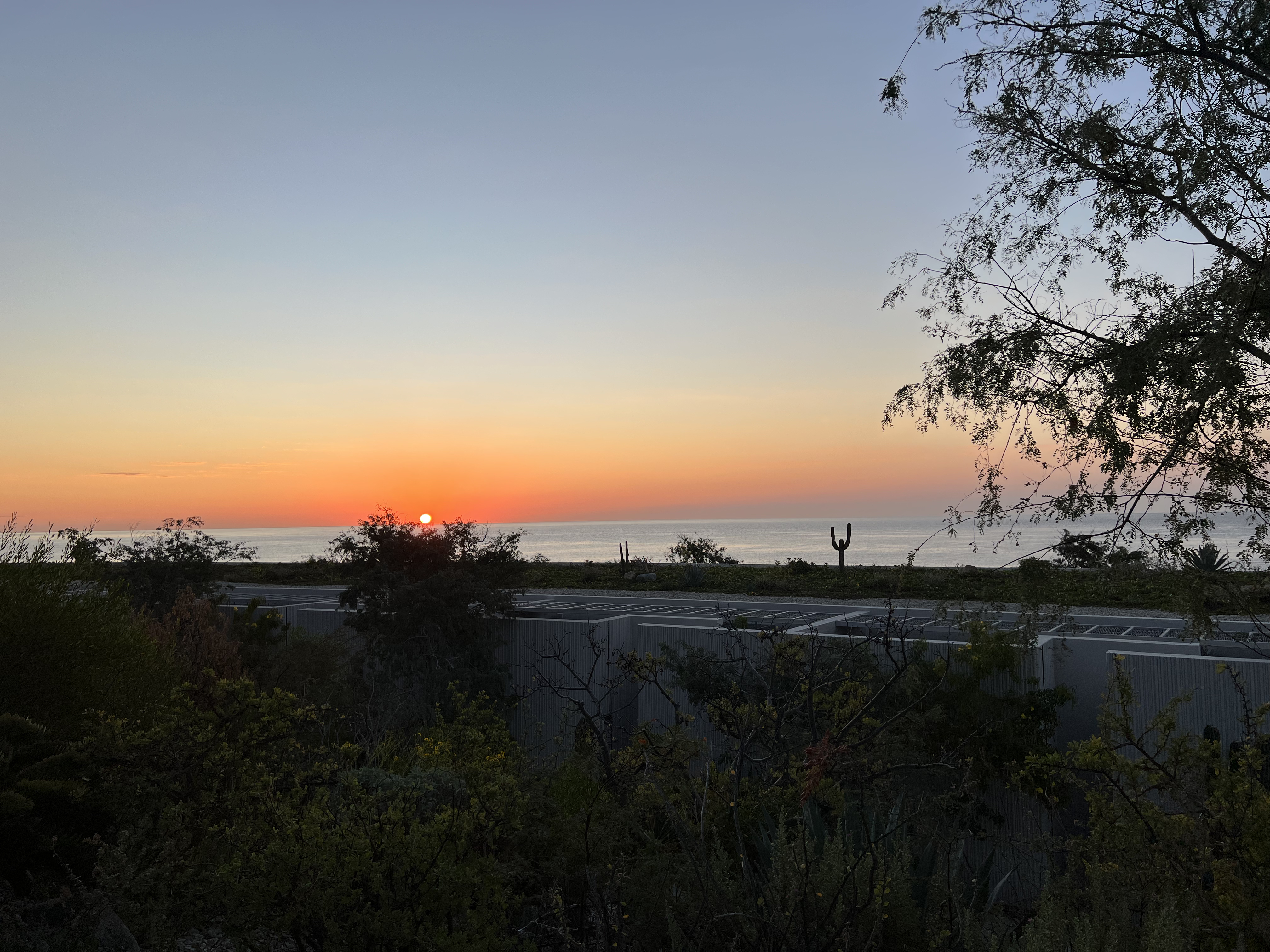 ./2024/13 - Cabo/IMG_4942.jpg